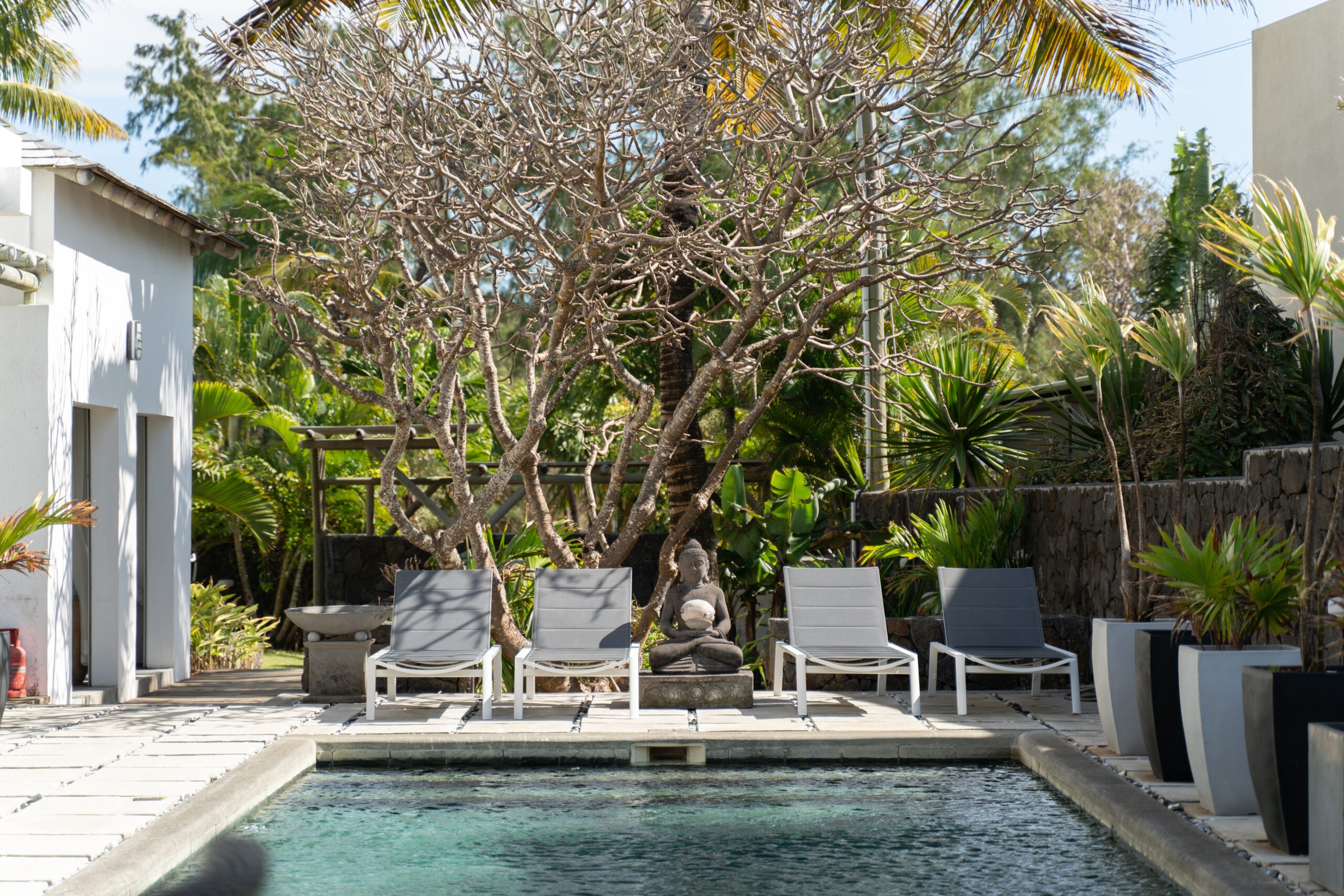 Villa Koki Bonheur - Villas et services d'exception