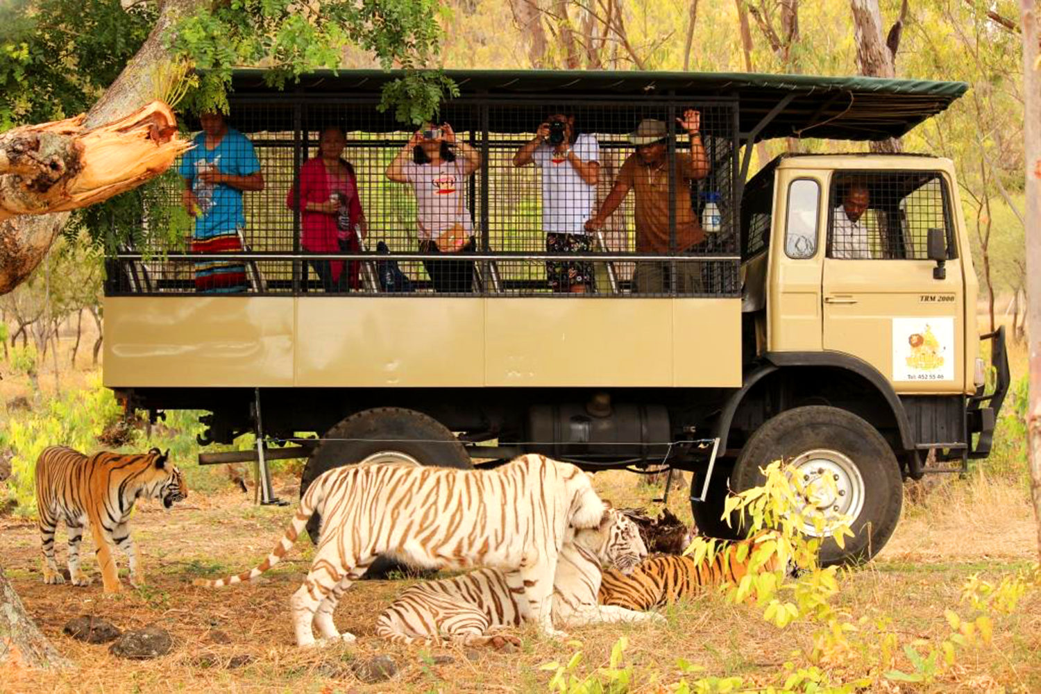 casela park safari