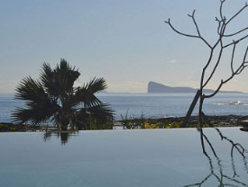 vignette-Island-View