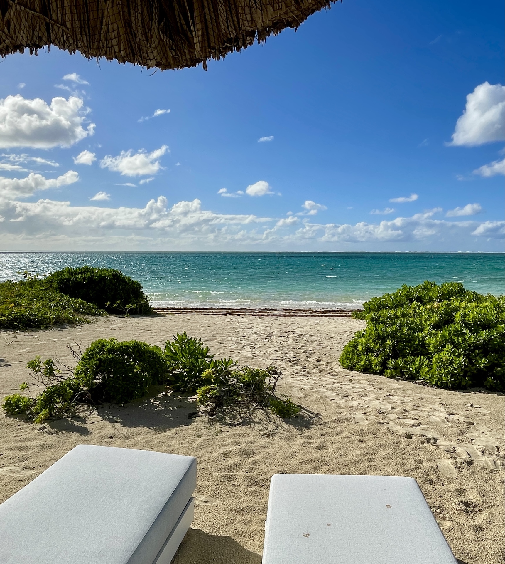 Appartement Camélie - Location Penthouse et Appartement à l'ile Maurice - pieds dans l'eau